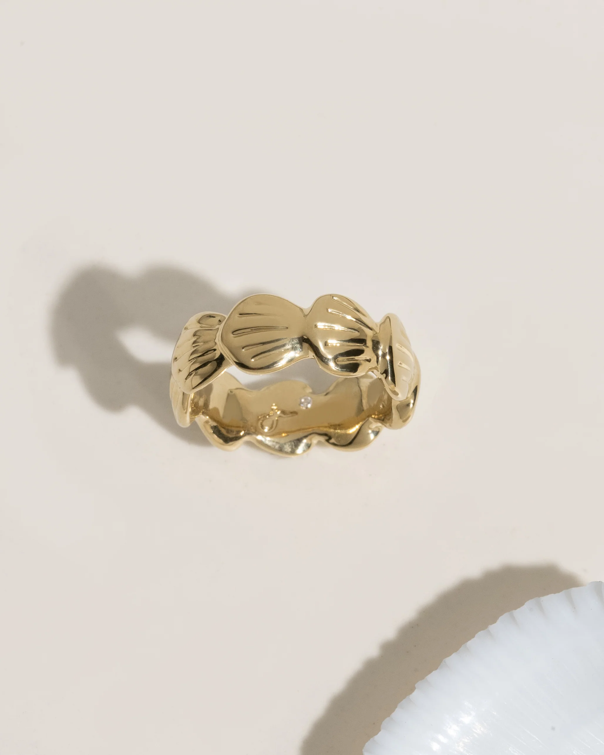 Shell Ring